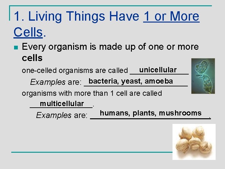 1. Living Things Have 1 or More Cells. n Every organism is made up