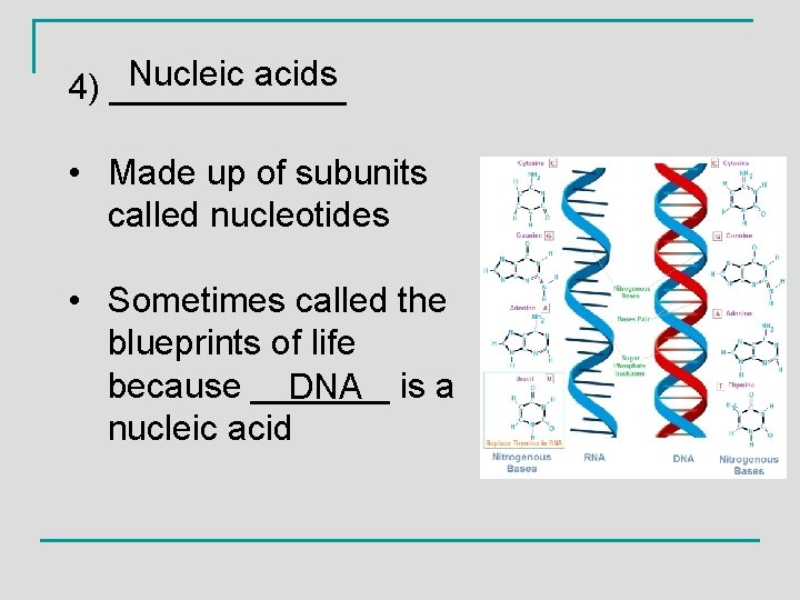 Nucleic acids 4) ______ • Made up of subunits called nucleotides • Sometimes called
