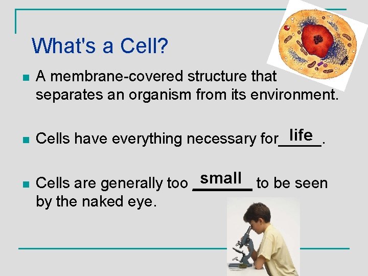 What's a Cell? n A membrane-covered structure that separates an organism from its environment.