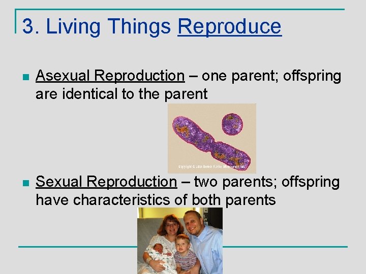 3. Living Things Reproduce n Asexual Reproduction – one parent; offspring are identical to
