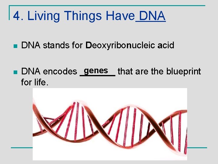 4. Living Things Have DNA n n DNA stands for Deoxyribonucleic acid genes that