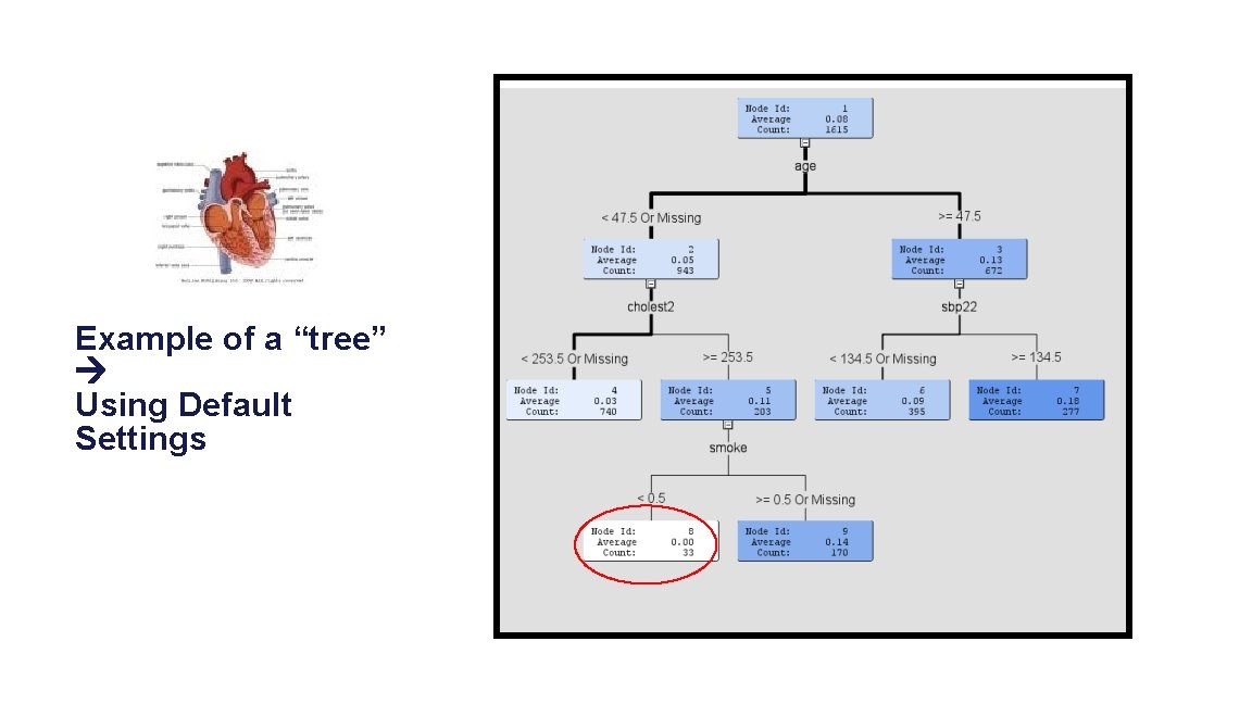 Example of a “tree” Using Default Settings 