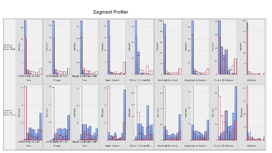 Segment Profiler 