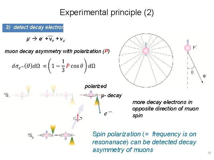 Experimental principle (2) 3) detect decay electrons μ- e- + ν e + ν