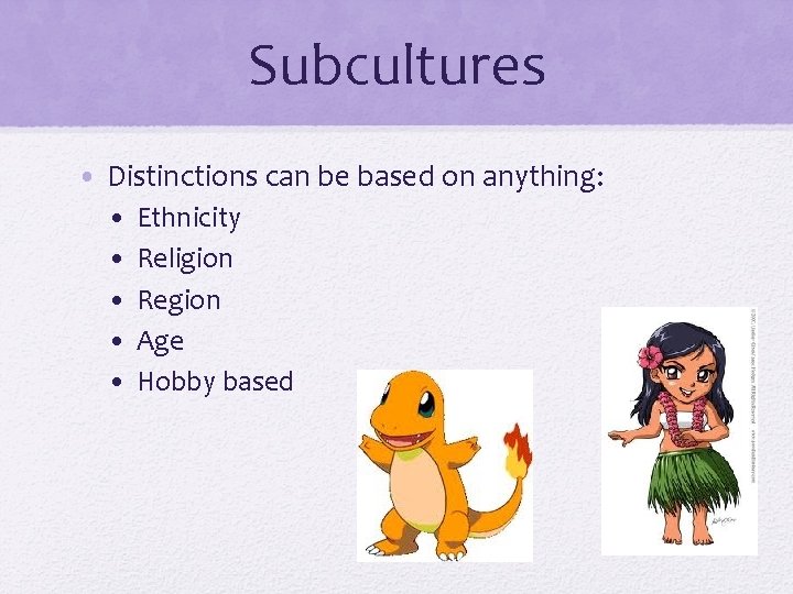 Subcultures • Distinctions can be based on anything: • • • Ethnicity Religion Region