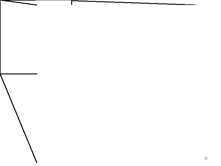 36 