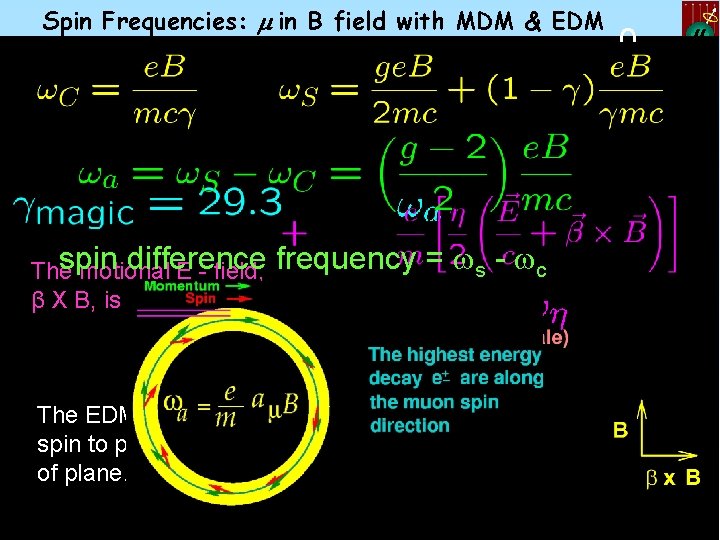 Spin Frequencies: m in B field with MDM & EDM spin difference The motional