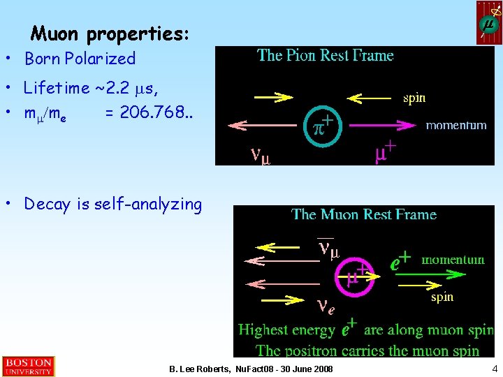 Muon properties: m • Born Polarized • Lifetime ~2. 2 ms, • mm/me =