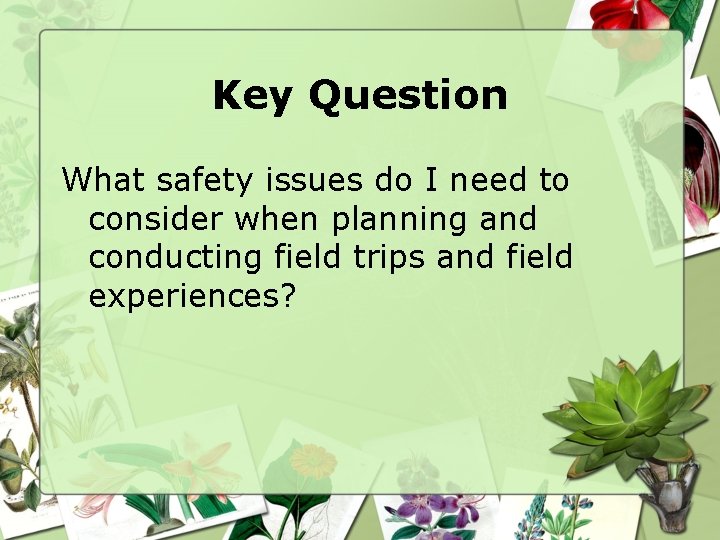 Key Question What safety issues do I need to consider when planning and conducting