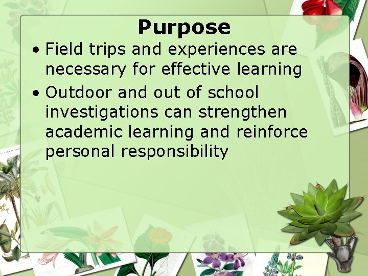 Purpose • Field trips and experiences are necessary for effective learning • Outdoor and