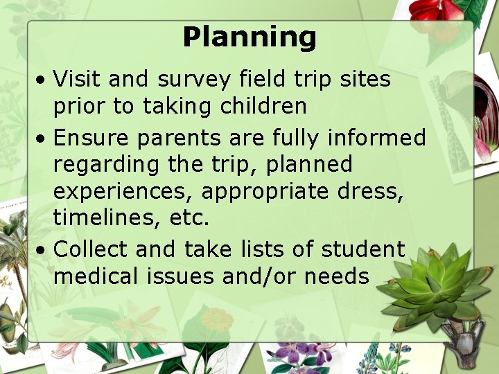 Planning • Visit and survey field trip sites prior to taking children • Ensure