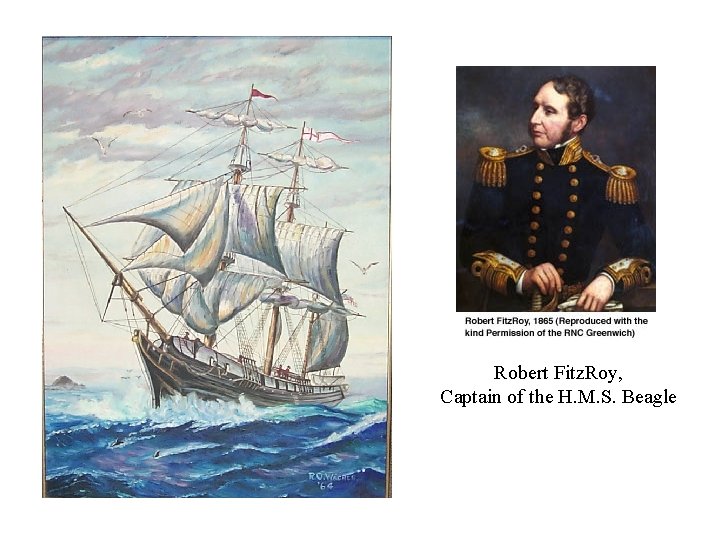 Robert Fitz. Roy, Captain of the H. M. S. Beagle 