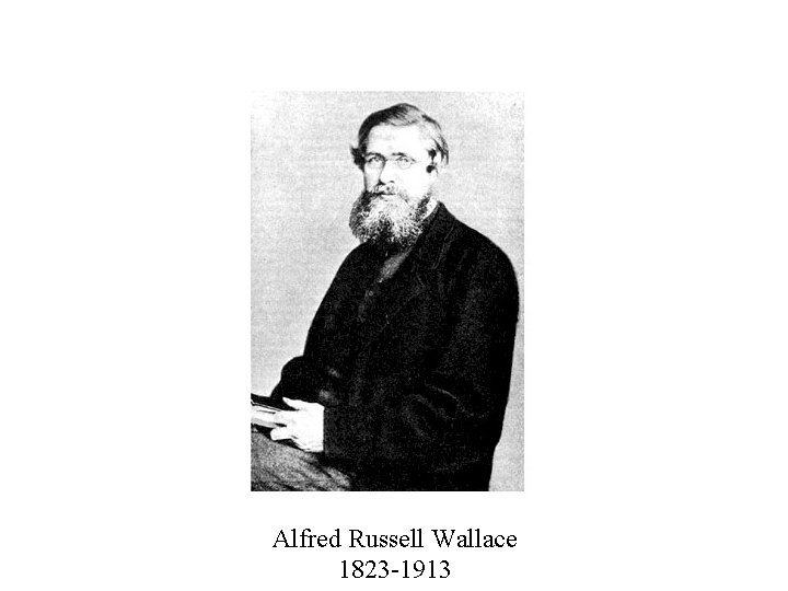 Alfred Russell Wallace 1823 -1913 