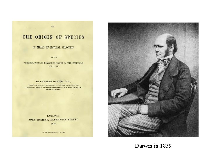 Darwin in 1859 