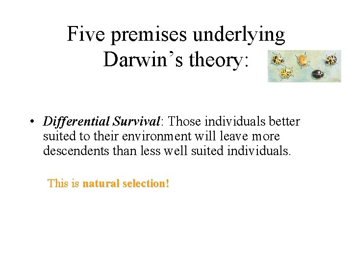 Five premises underlying Darwin’s theory: • Differential Survival: Those individuals better suited to their