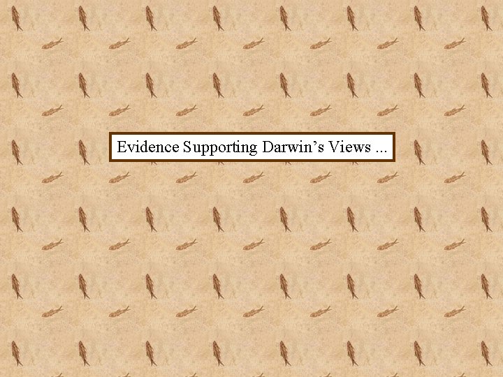 Evidence Supporting Darwin’s Views. . . 