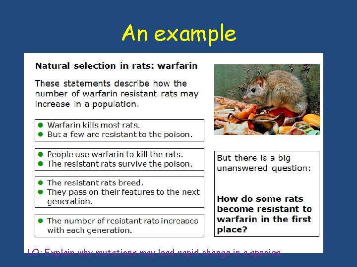 An example LO: Explain why mutations may lead rapid change in a species. An example LO: Explain why mutations may lead rapid change in a species.
