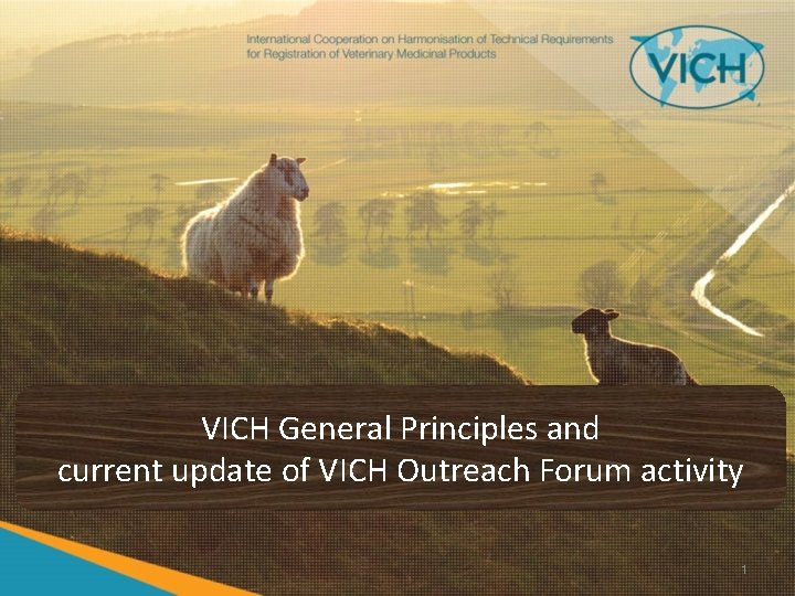 VICH General Principles and current update of VICH Outreach Forum activity 1 