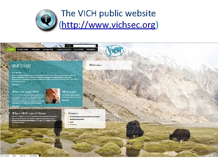 The VICH public website (http: //www. vichsec. org) 24 24 