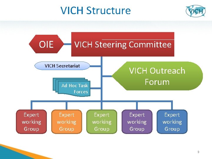 VICH Structure OIE VICH Steering Committee VICH Secretariat VICH Outreach Forum Ad Hoc Task