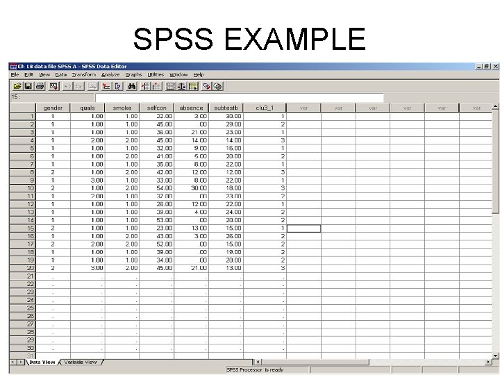 SPSS EXAMPLE 