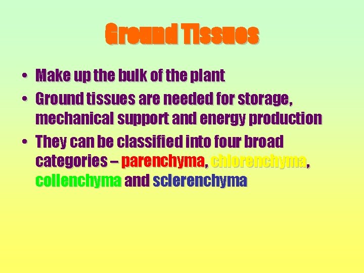 Ground Tissues • Make up the bulk of the plant • Ground tissues are