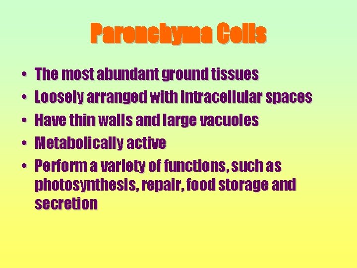 Parenchyma Cells • • • The most abundant ground tissues Loosely arranged with intracellular