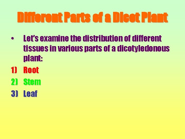 Different Parts of a Dicot Plant • Let’s examine the distribution of different tissues
