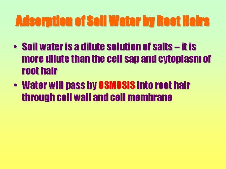 Adsorption of Soil Water by Root Hairs • Soil water is a dilute solution