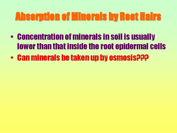Absorption of Minerals by Root Hairs • Concentration of minerals in soil is usually