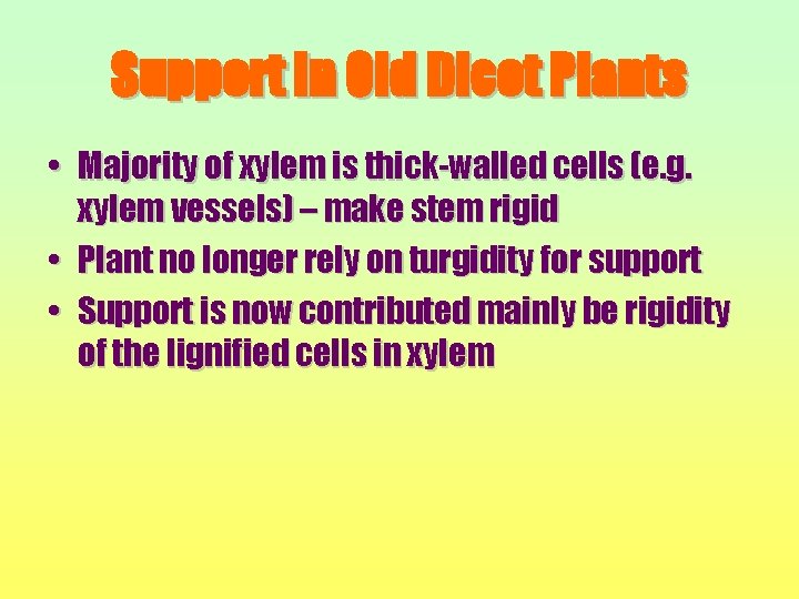 Support in Old Dicot Plants • Majority of xylem is thick-walled cells (e. g.