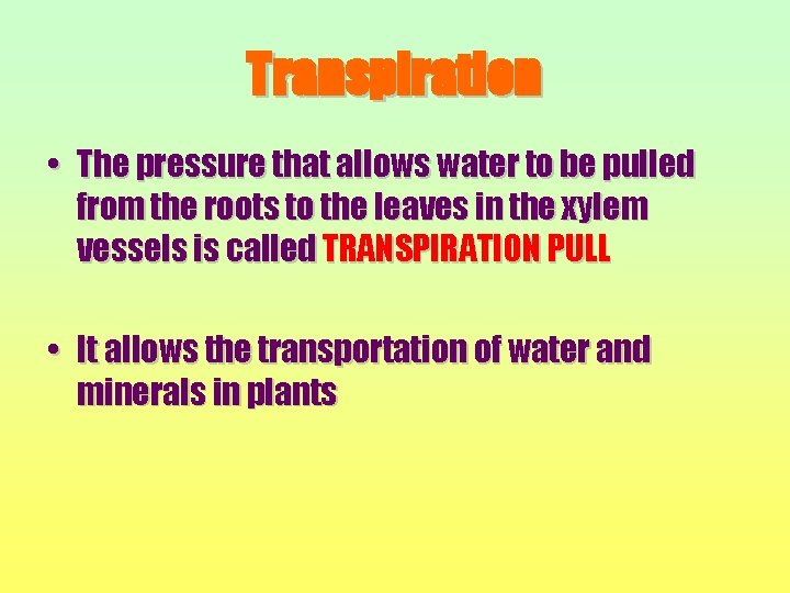 Transpiration • The pressure that allows water to be pulled from the roots to