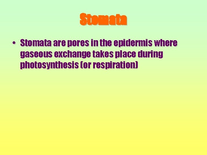 Stomata • Stomata are pores in the epidermis where gaseous exchange takes place during