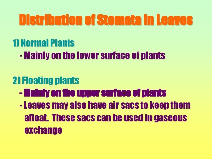 Distribution of Stomata in Leaves 1) Normal Plants - Mainly on the lower surface