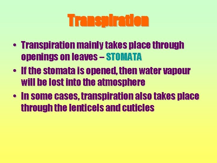 Transpiration • Transpiration mainly takes place through openings on leaves – STOMATA • If