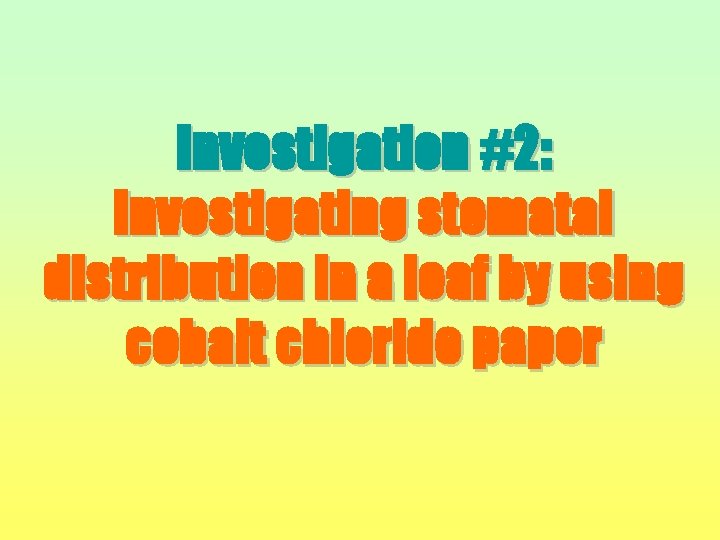 Investigation #2: Investigating stomatal distribution in a leaf by using cobalt chloride paper 