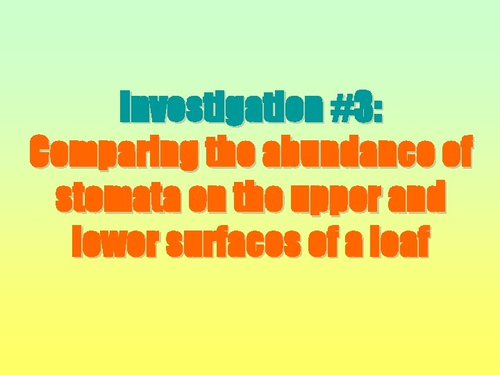 Investigation #3: Comparing the abundance of stomata on the upper and lower surfaces of