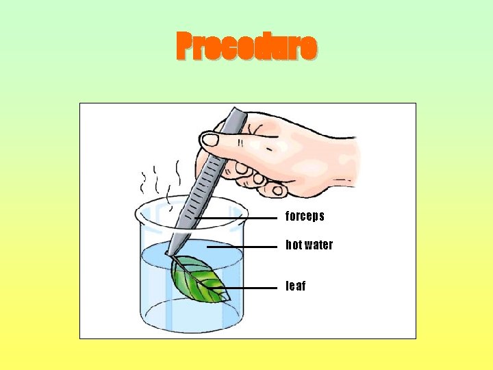 Procedure forceps hot water leaf 