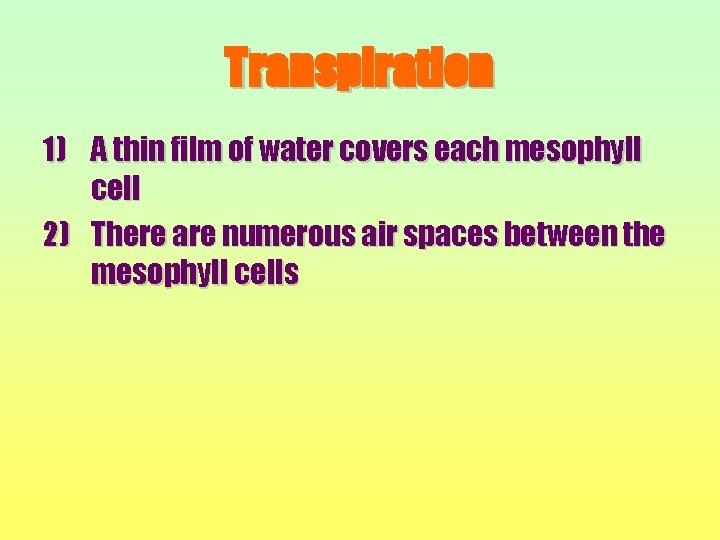 Transpiration 1) A thin film of water covers each mesophyll cell 2) There are