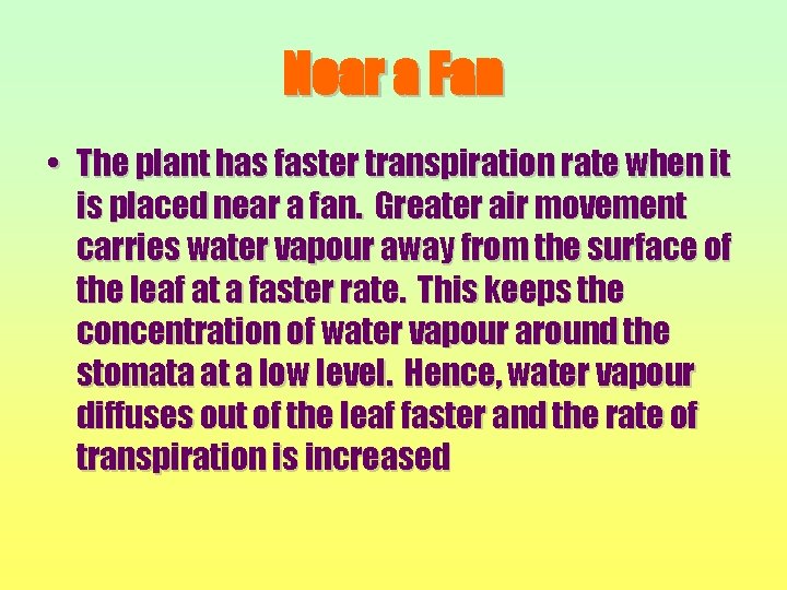 Near a Fan • The plant has faster transpiration rate when it is placed