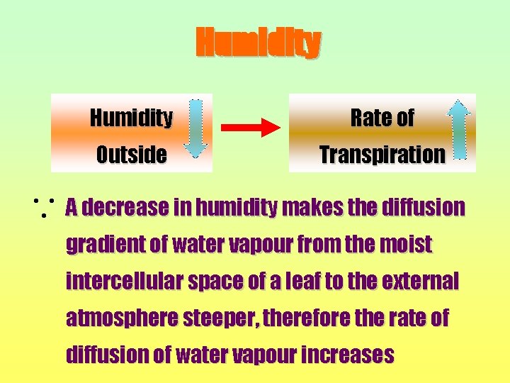 Humidity Rate of Outside Transpiration A decrease in humidity makes the diffusion gradient of