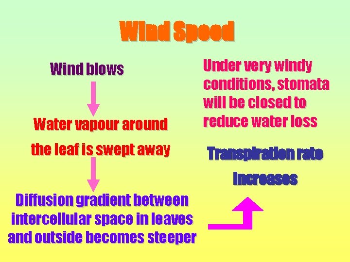 Wind Speed Water vapour around Under very windy conditions, stomata will be closed to