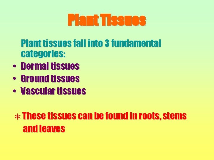 Plant Tissues • • • Plant tissues fall into 3 fundamental categories: Dermal tissues
