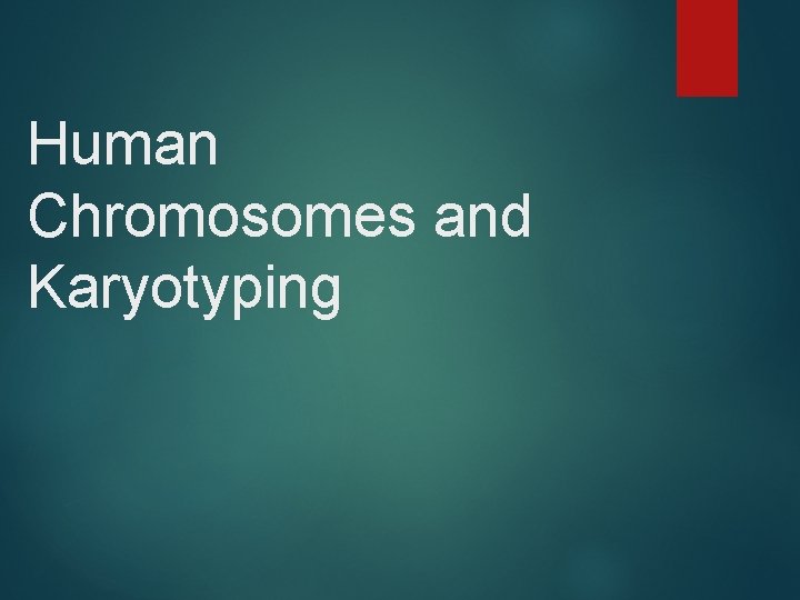 Human Chromosomes and Karyotyping 