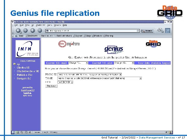 Grid Genius The EU Data Grid Genius Data Management Services