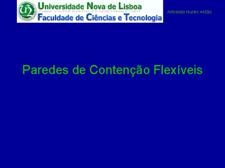 Armando Nunes Antão Paredes de Contenção Flexíveis 