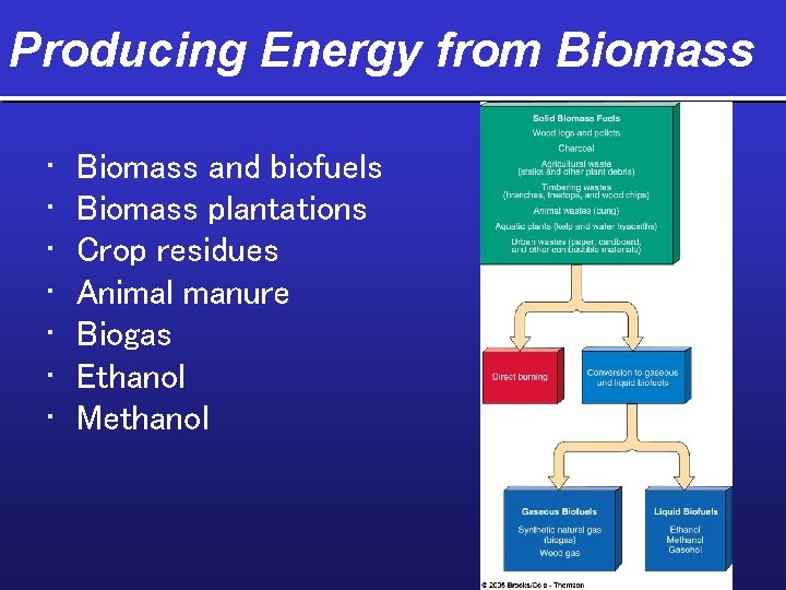 Producing Energy from Biomass • • Biomass and biofuels Biomass plantations Crop residues Animal