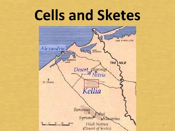 Cells and Sketes 9 
