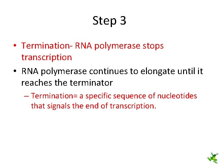 Step 3 • Termination- RNA polymerase stops transcription • RNA polymerase continues to elongate
