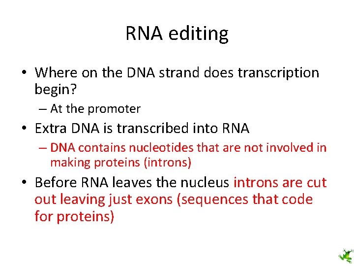 RNA editing • Where on the DNA strand does transcription begin? – At the